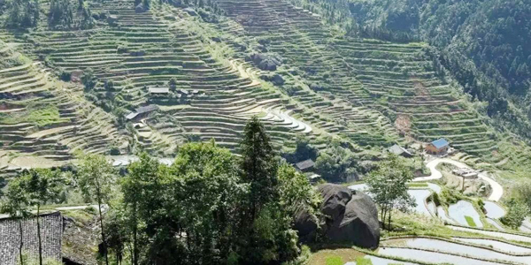 万贯冲梯田