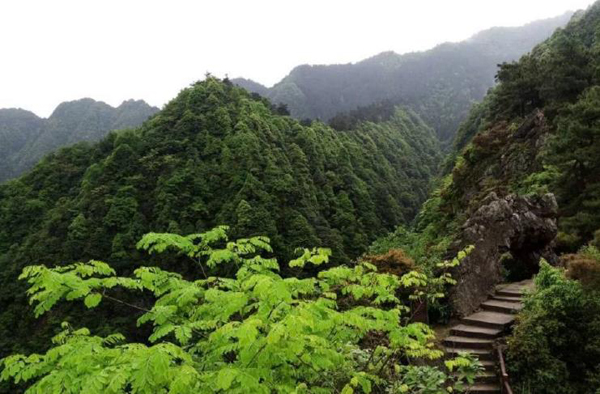 伴山冲景区